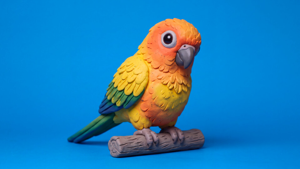 Jonson parrot